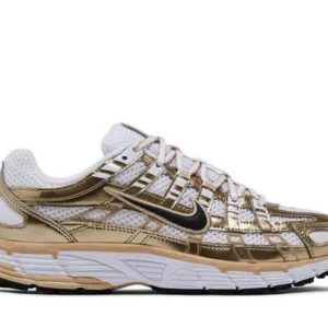 First Copy Nike P 6000 view 1
